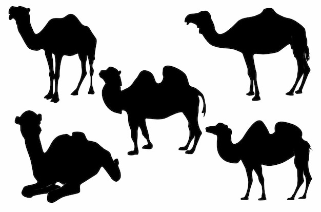 Set of arabian camel silhouettes, logos, icons,