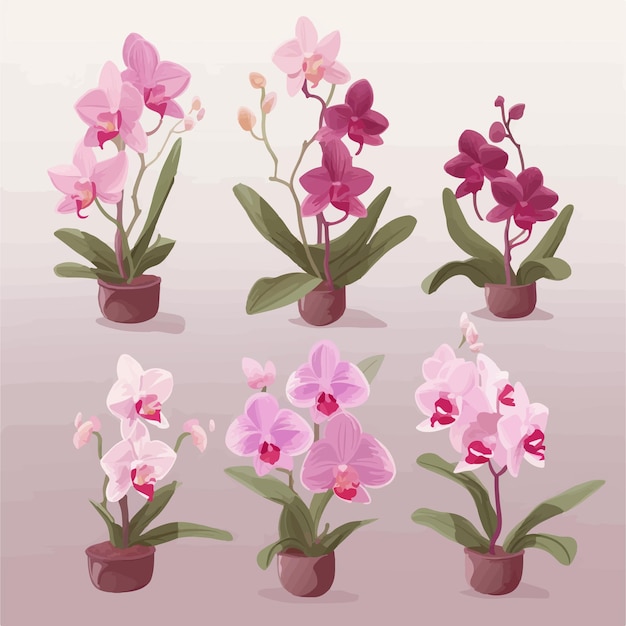 Vector set of artistic orchid stickers for your projects