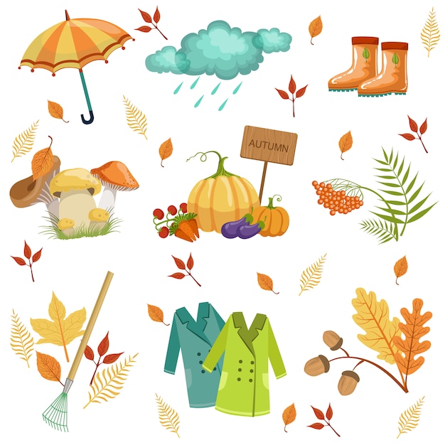 Set Of Associated With Autumn Objects