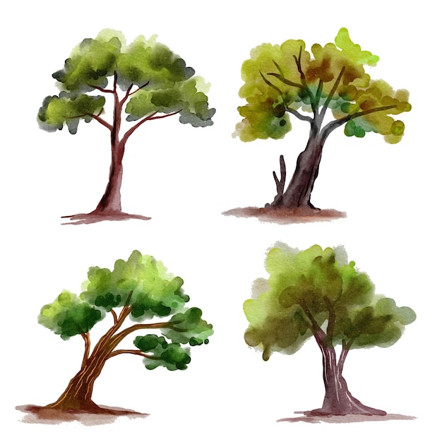 Set of assorted watercolor trees