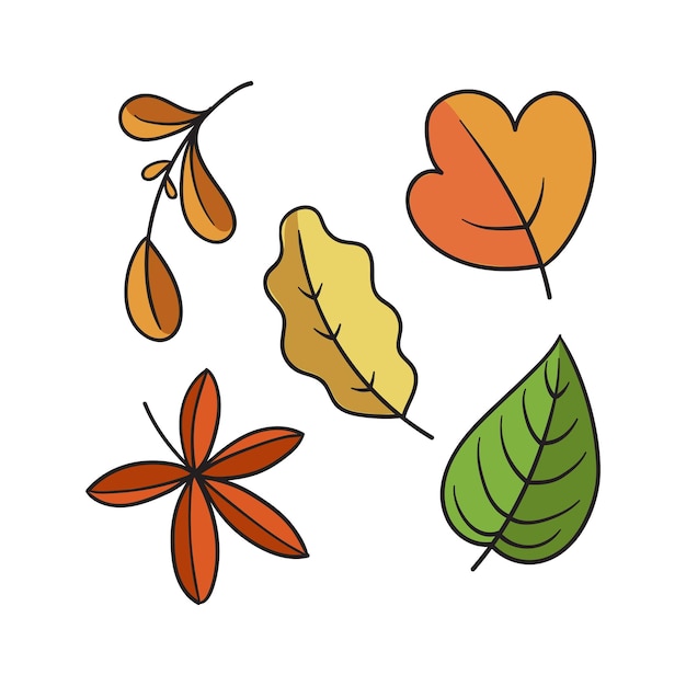 Set of autumn element doodle hand drawn