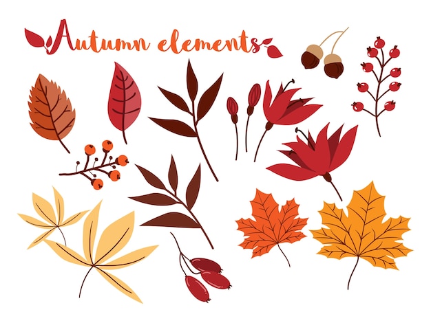 Vector set of autumn elements isolated on white background.