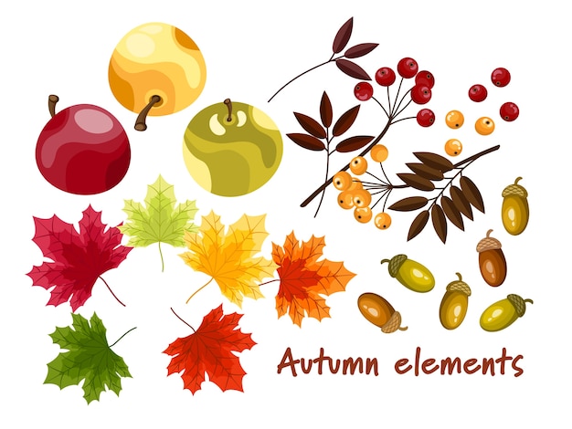 Set of autumn elements.