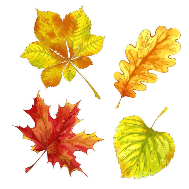 Set of autumn fallen leaves with watercolor texture. 