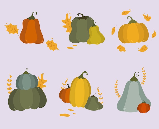 Vector set of autumn harvest of pumpkins halloween and thanksgiving vector symbol