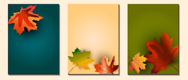 set autumn leaves banner background vector illustration