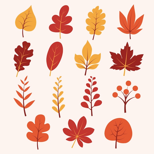 Set of Autumn Leaves Collection Simple Illustration Flat style Vector Illustration