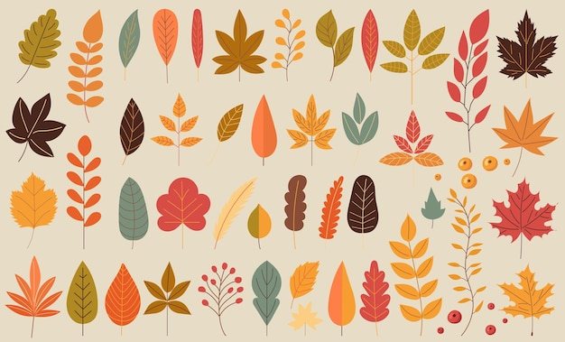 set of autumn leaves in doodle style vector