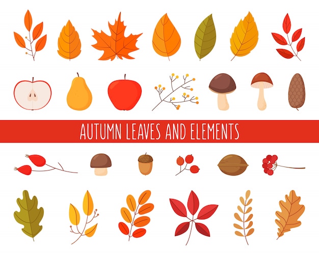 Vector set of autumn leaves and elements. simple cartoon flat style. illustration isolated on white background.