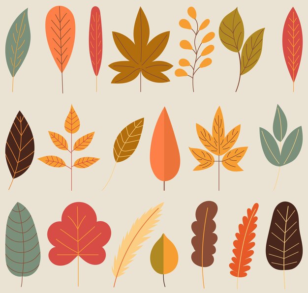 set of autumn leaves in flat style vector