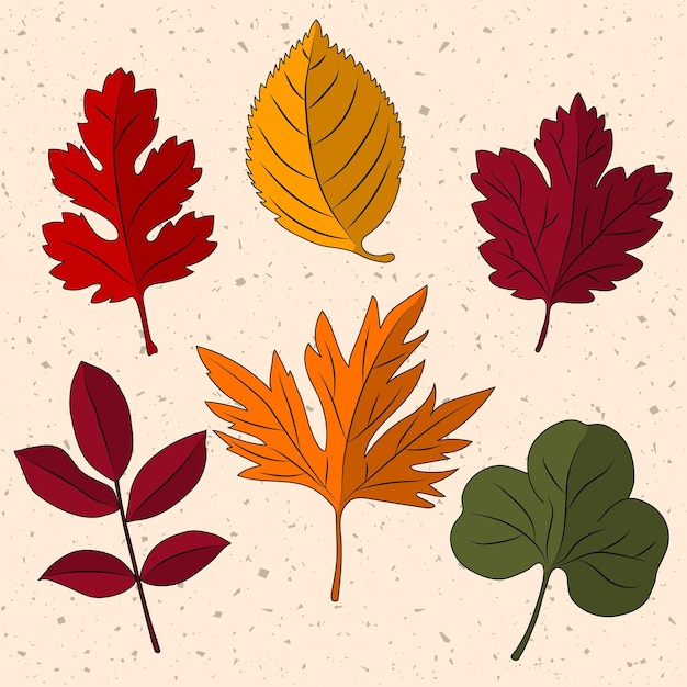 Set of autumn leaves isolated