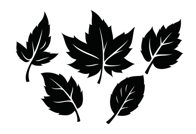 Set of autumn leaves monochrome illustration