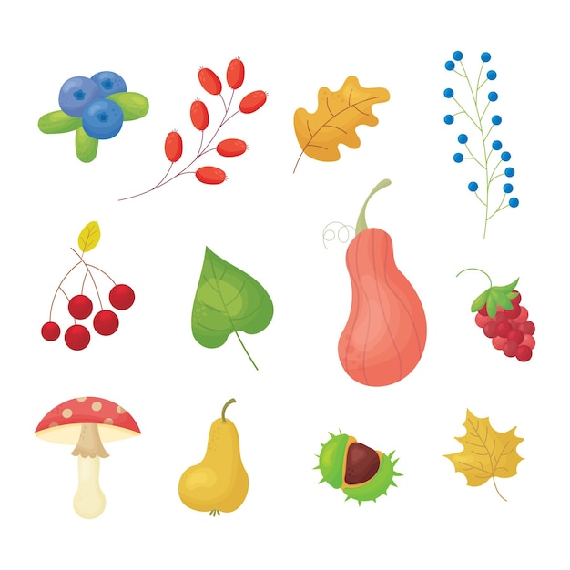 set of autumn leaves mushrooms and berries vector illustration in cartoon style