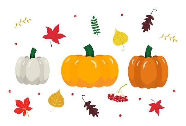 秋の紅葉とカボチャのセット 編集可能なベクトル イラスト