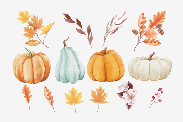 Vector set of autumn leaves and pumpkins in watercolor style