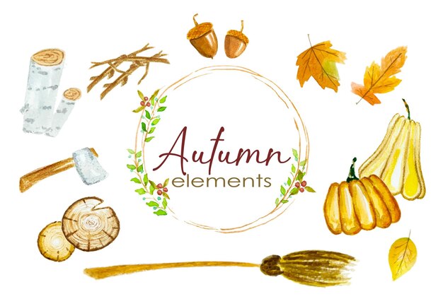 Vector set of autumn leaves and pumpkins in watercolor style