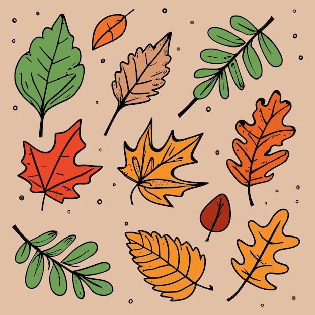 Vector set of autumn leaves simple flat cartoon vector illustration
