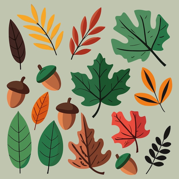 Set of autumn leaves simple flat cartoon vector illustration