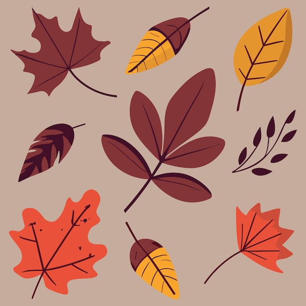 Set of autumn leaves simple flat cartoon vector illustration