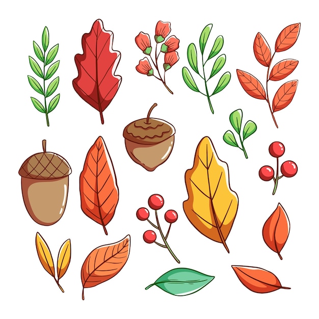 set of autumn leaves with colorful hand drawing style