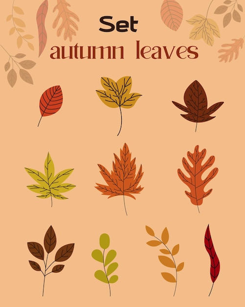 Set of autumn leaves