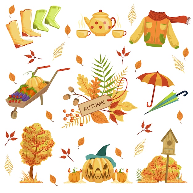 Vector set of autumn related objects