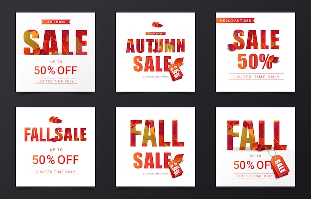 Set of autumn sale banner decorate with dry leaves in square size for instragram