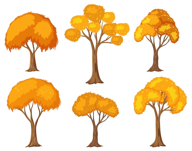 Vector set of autumn tree cartoon