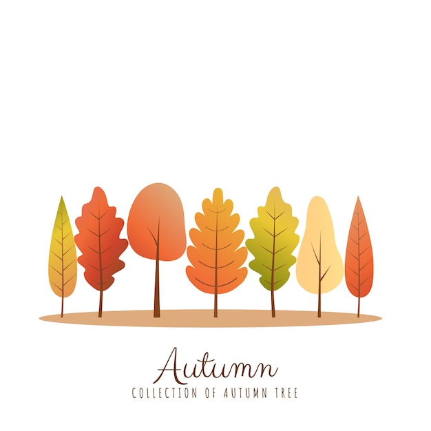 Vector set of autumn tree.