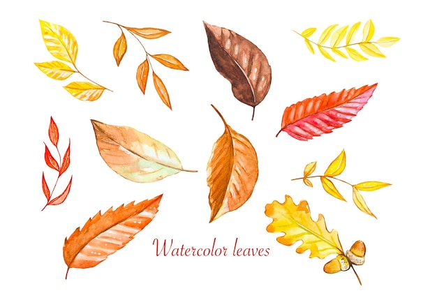 Set of autumn yellowred leaves watercolor