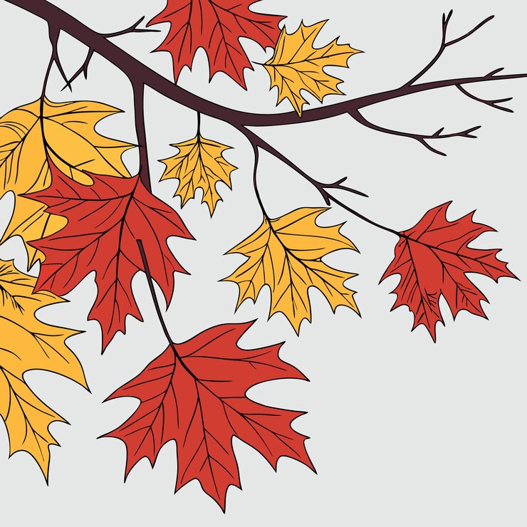 Vector set autumnal leaves vector image