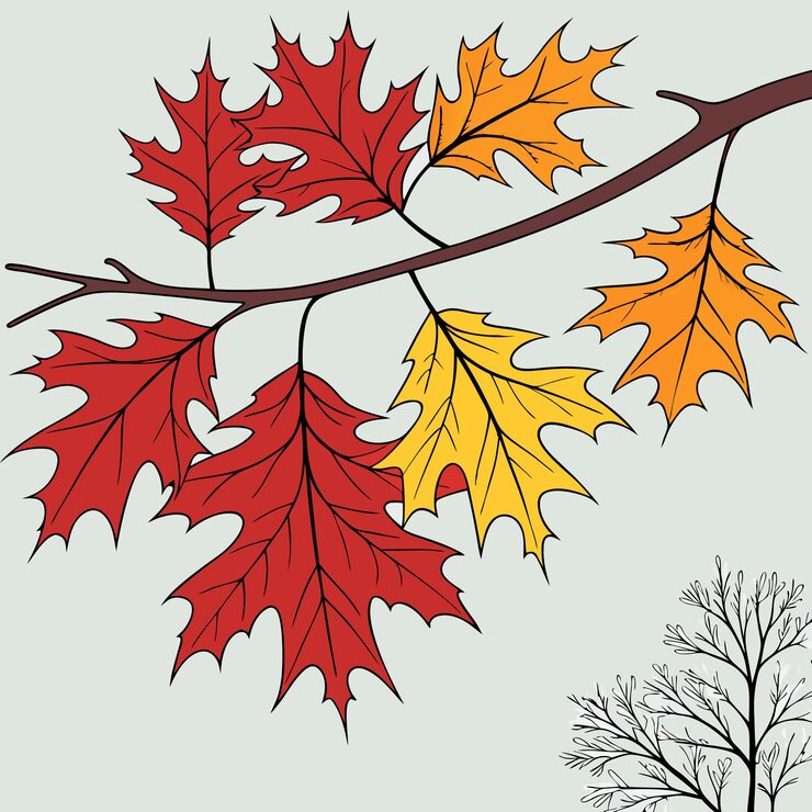 Vector set autumnal leaves vector image
