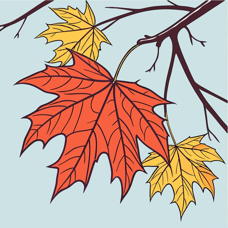 Vector set autumnal leaves vector image