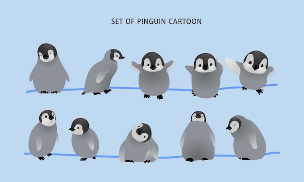 set of baby penguin character cartoon collection