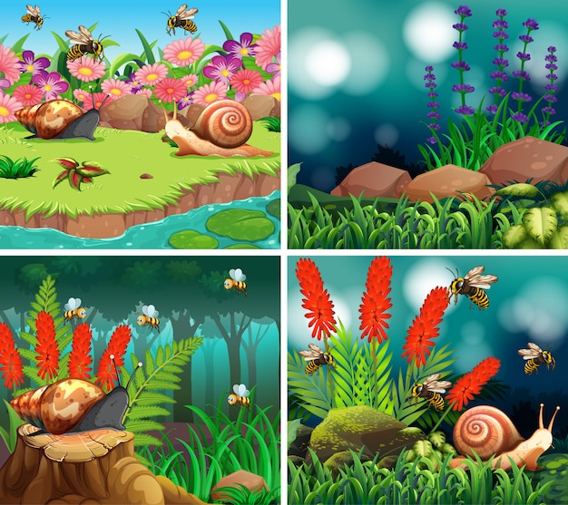 Set of backgrounds with nature theme