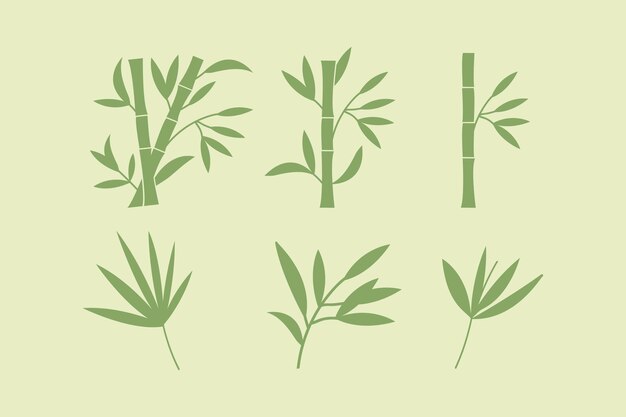 Vector set of bamboo design vector flat isolated illustration