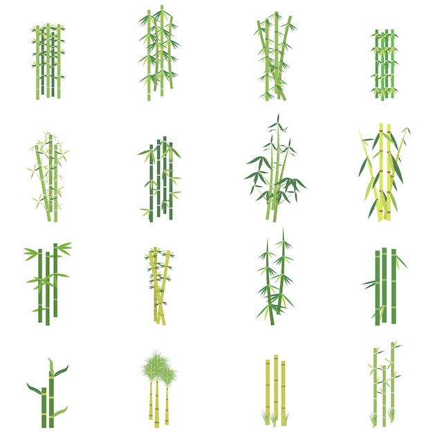 Vettore set di piante di bambù