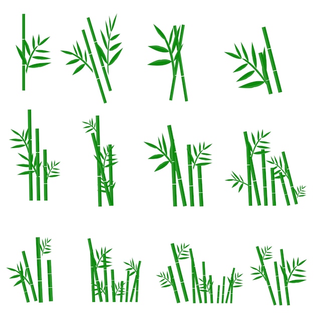 Set di piante di bambù