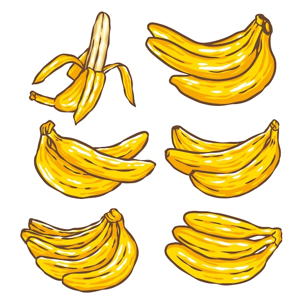 Set di raccolte di illustrazioni disegnate a mano di banana