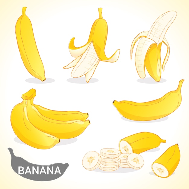 Set di banana in vari stili formato vettoriale