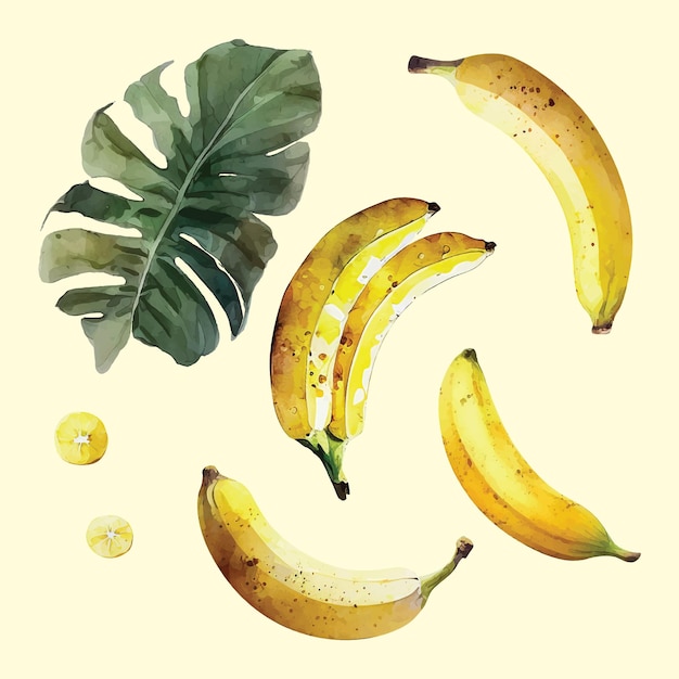 Vector set of banana watercolor paint