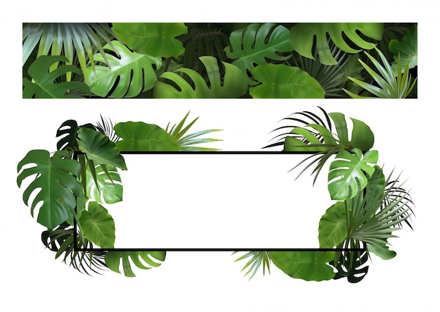 Vector set of banners with tropical leaves