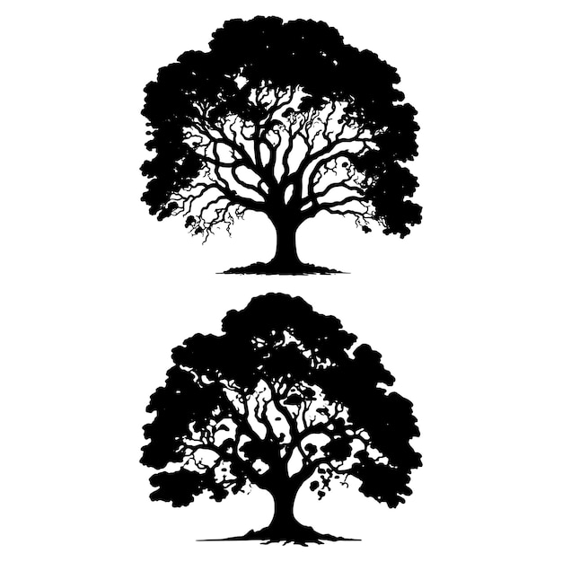 набор силуэтов баньяновых деревьев Большое дерево черный силуэт