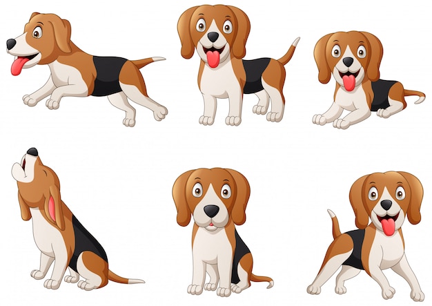 Set of beagle dog cartoon.   illustration