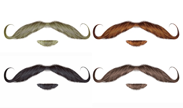 Vector set   beard and swirl mustache different colors.