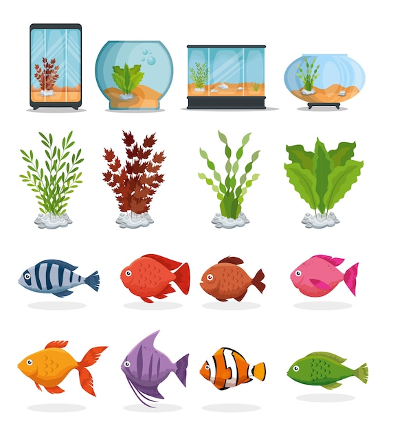 Vector set beautiful aquariums icons