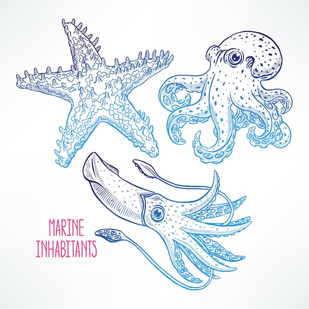 Set of beautiful cute sea animals. hand-drawn illustration