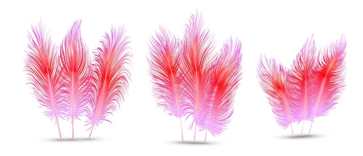 Vector set of beautiful festive feathers isolated on white background