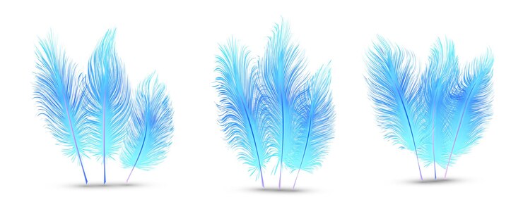 Vector set of beautiful festive feathers isolated on white background