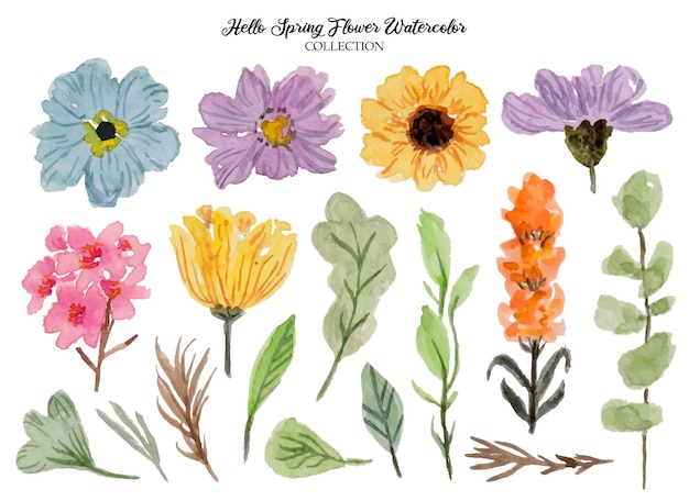 Vector a set of beautiful flower watercolor